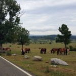 20150718_102654-150x150 Camino del Agua - Ruta El Regato Rutas   