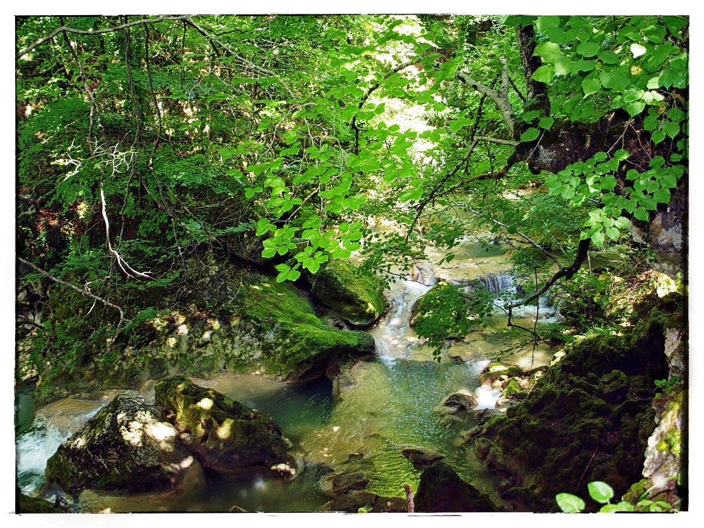 P7185787-1024x768 Sierra de Urbasa. Urederra y Bosque Encantado (I) Rutas   