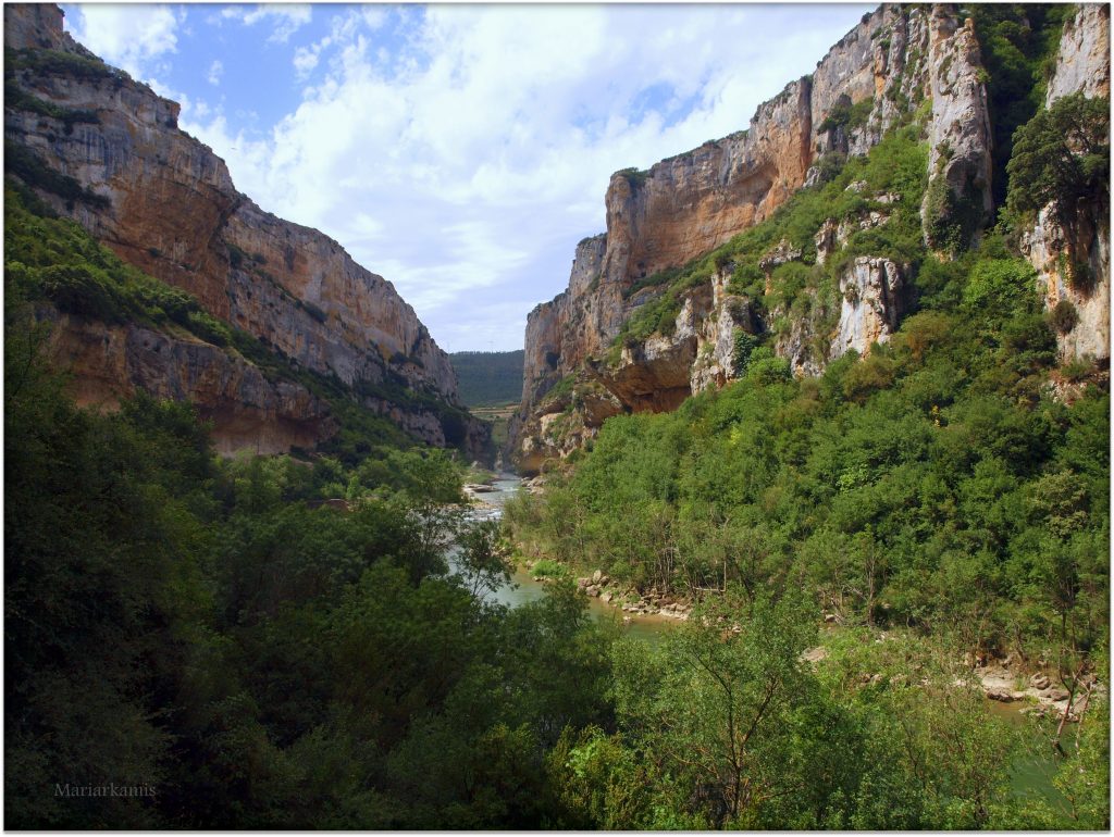 P7080418-1-1024x770 Navarra. Dia 1: Foz de Lumbier y Selva de Irati Viajes   