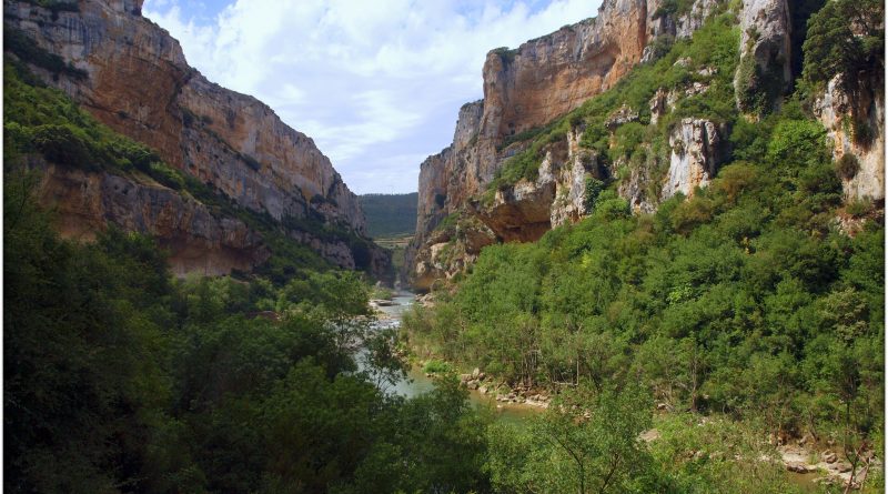 P7080418-1-800x445 Navarra. Dia 1: Foz de Lumbier y Selva de Irati Viajes   