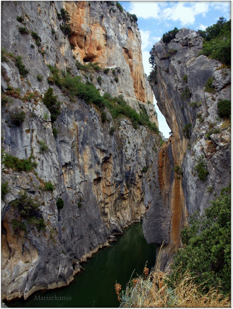 P7080429-2-771x1024 Navarra. Dia 1: Foz de Lumbier y Selva de Irati Viajes   