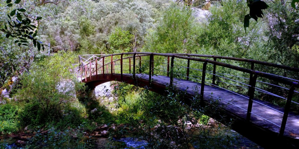 20190731_120832-1024x512 Burgos - Ruta Paseo del Río Oca Rutas   