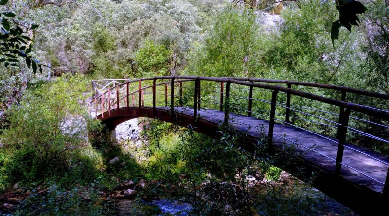 20190731_120832-800x445 Burgos - Ruta Paseo del Río Oca Rutas   