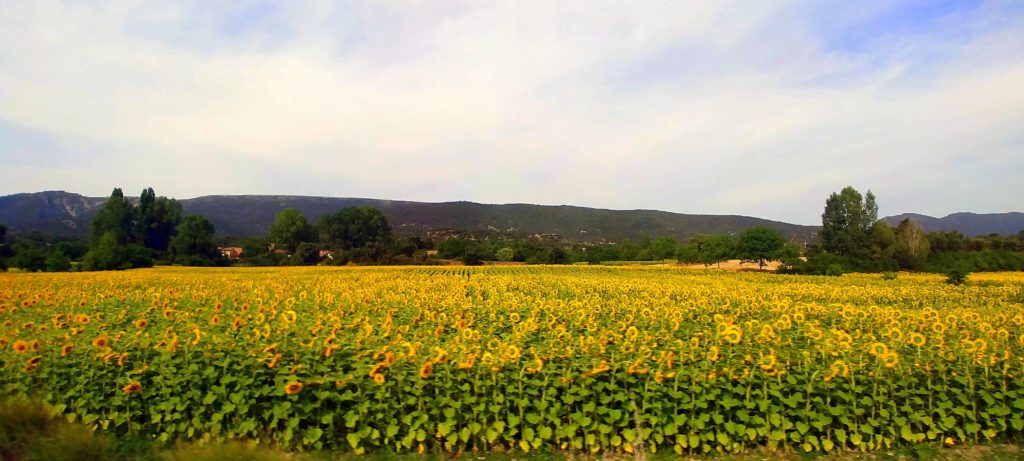 20190731_182008-1024x461 Burgos - Ruta Paseo del Río Oca Rutas   