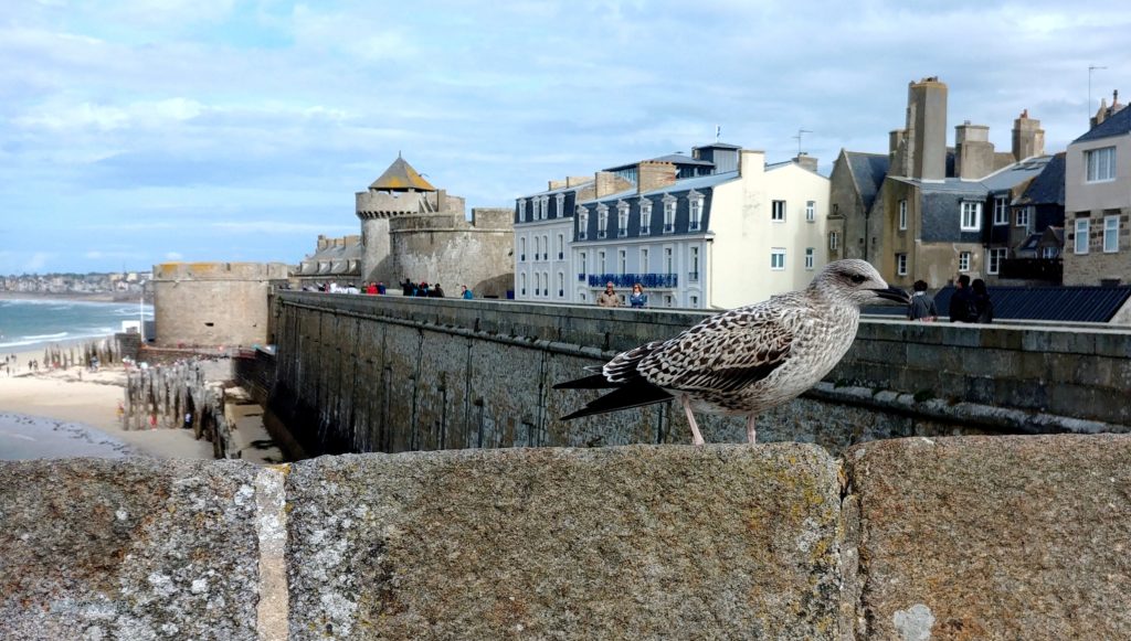 7Saint-Malo614-1024x581 Ruta por Bretaña y Normandía en coche (1ª parte) Viajes   